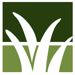 Lawrence Lawn Clean Up