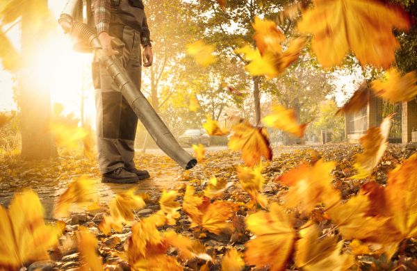 Cost of Leaf Blowing Service in Lawrence