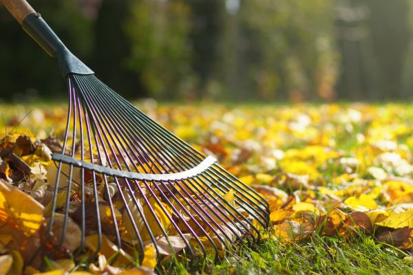 Cost of Leaf Raking Service in Lawrence