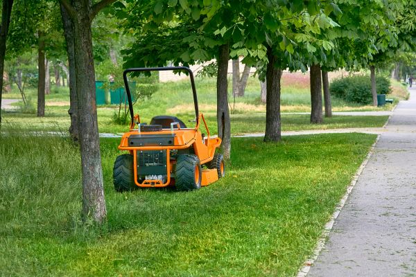 Cost of Landscaping Cleanup Service in Lawrence