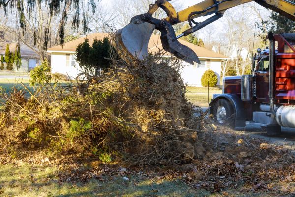 Cost of Storm Debris Removal in Lawrence