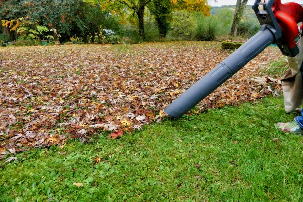 Cost of Leaves Vacuuming in Lawrence