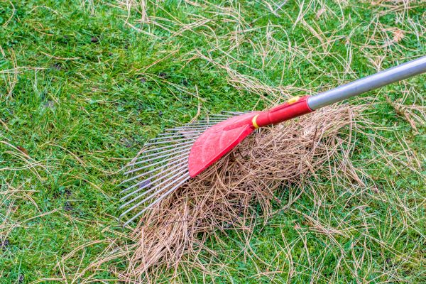 Cost of Yard Raking in Lawrence
