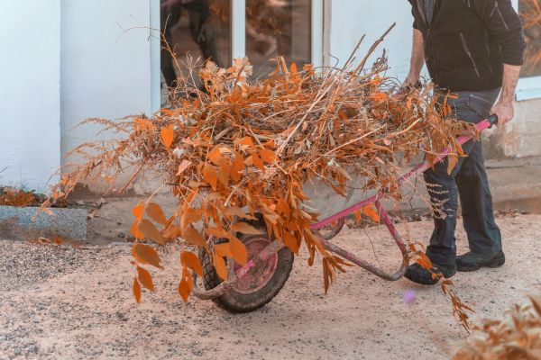Cost of Lawn Debris Cleanup in Lawrence