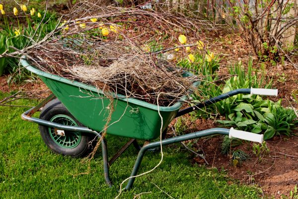 Cost of Lawn Waste Removal in Lawrence