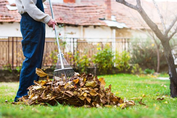 Cost of Fall Yard Cleanup Service in Lawrence