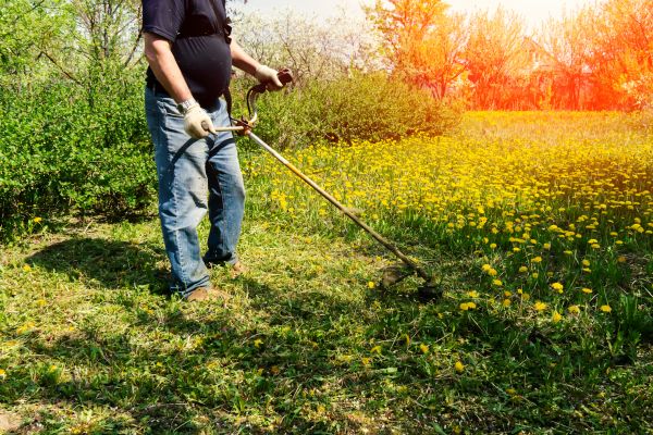 Cost of Yard Clearing Service in Lawrence