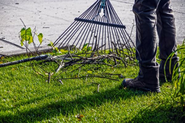 Cost of Yard Debris Cleanup in Lawrence