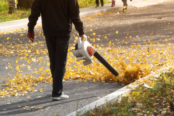 Cost of Commercial Leaf Removal in Lawrence