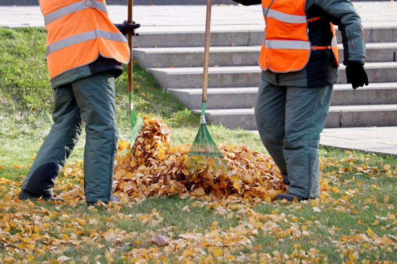 Commercial Leaf Removal