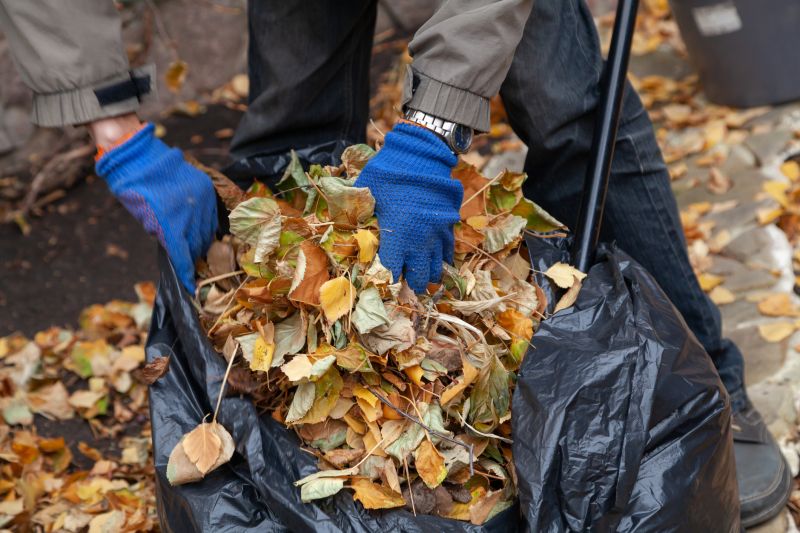Leaf Pile Collection